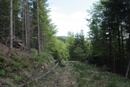 foto 3131.JPG [4430109 bajtw]