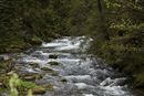 foto 4444.JPG [5782030 bajtw]